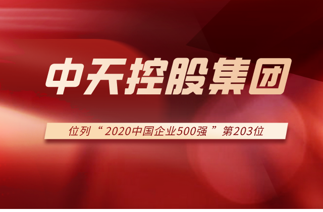东升国际集团列2020中国企业500强第203位！